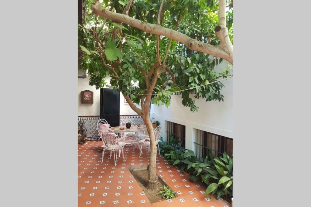Casa En Granada Con Hermoso Jardin, Parking Calle Екстер'єр фото
